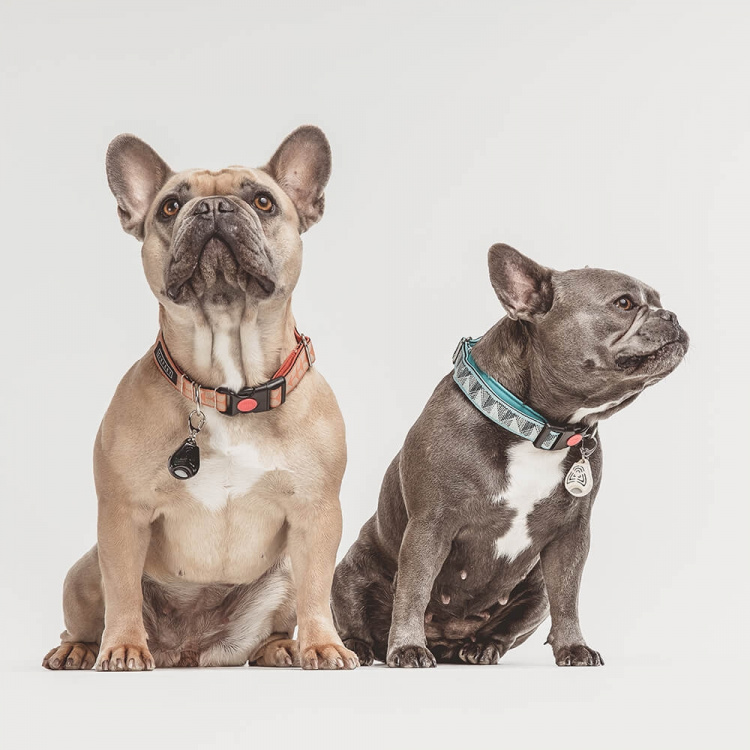 TICKLESS Flåtbeskyttelse Pet Beige TICKLESS Flåtbeskyttelse Pet Beige