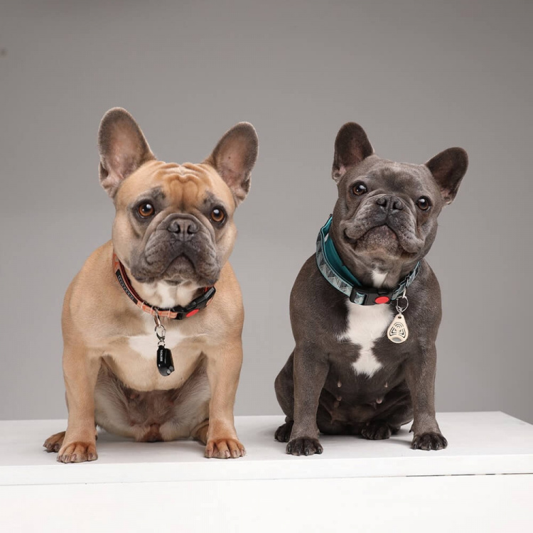 TICKLESS Flåtbeskyttelse Pet Black TICKLESS Flåtbeskyttelse Pet Black