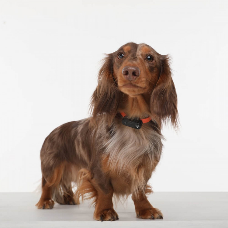 TICKLESS Flåtbeskyttelse Mini Hund TICKLESS Flåtbeskyttelse Mini Hund