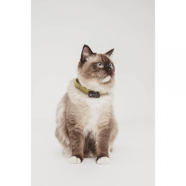 TICKLESS Flåtbeskyttelse Mini Kat TICKLESS Flåtbeskyttelse Mini Kat