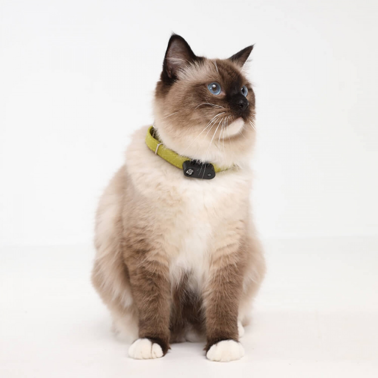 TICKLESS Flåtbeskyttelse Mini Kat TICKLESS Flåtbeskyttelse Mini Kat