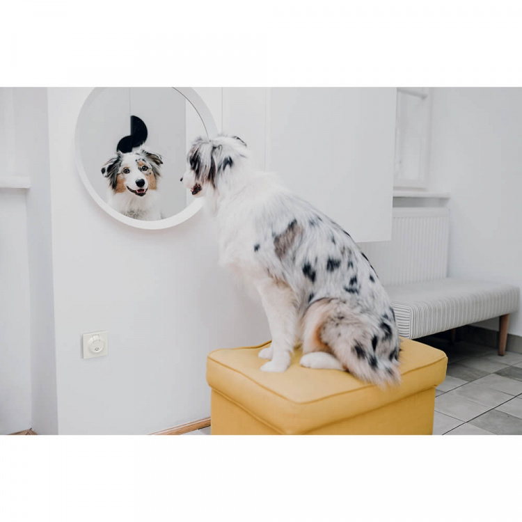 TICKLESS Mideafvisende Home Lysegrå