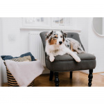 TICKLESS Mideafvisende Home Lysegrå