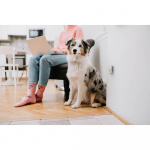 TICKLESS Mideafvisende Home Elfenben TICKLESS Mideafvisende Home Elfenben