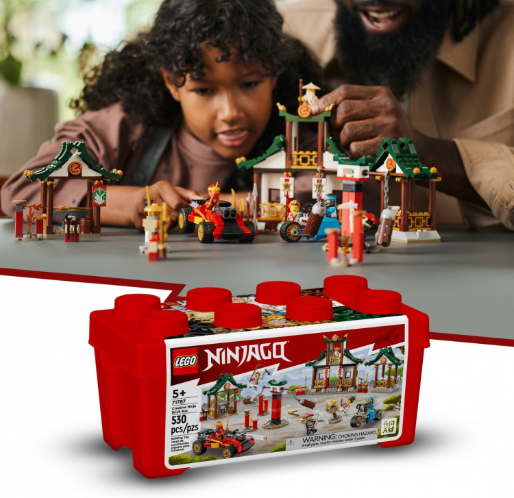 LEGO Ninjago 71787 - Creative Ninja Brick Box