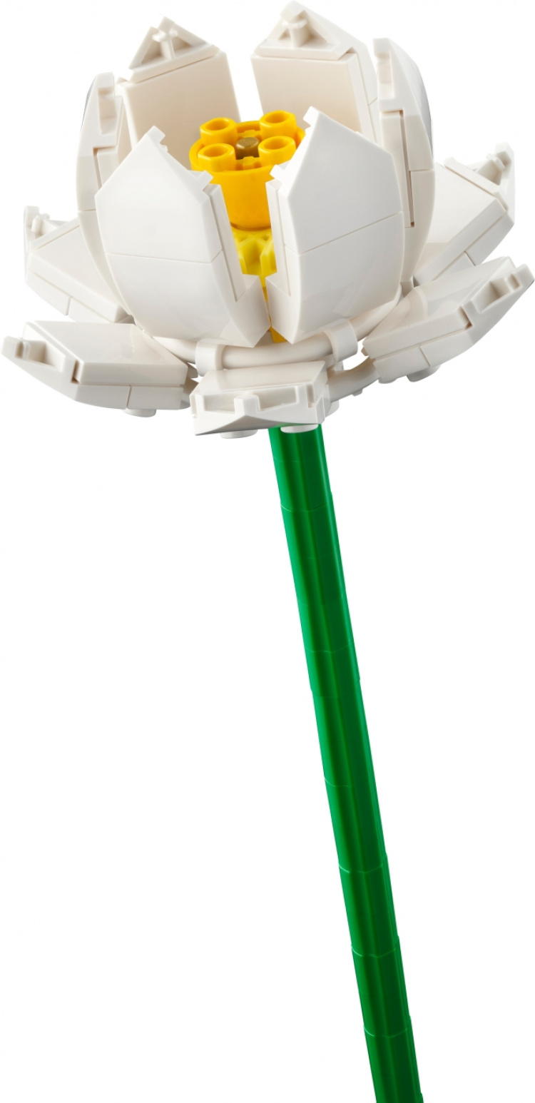 LEGO Botanical 40647 - Lotus Flowers