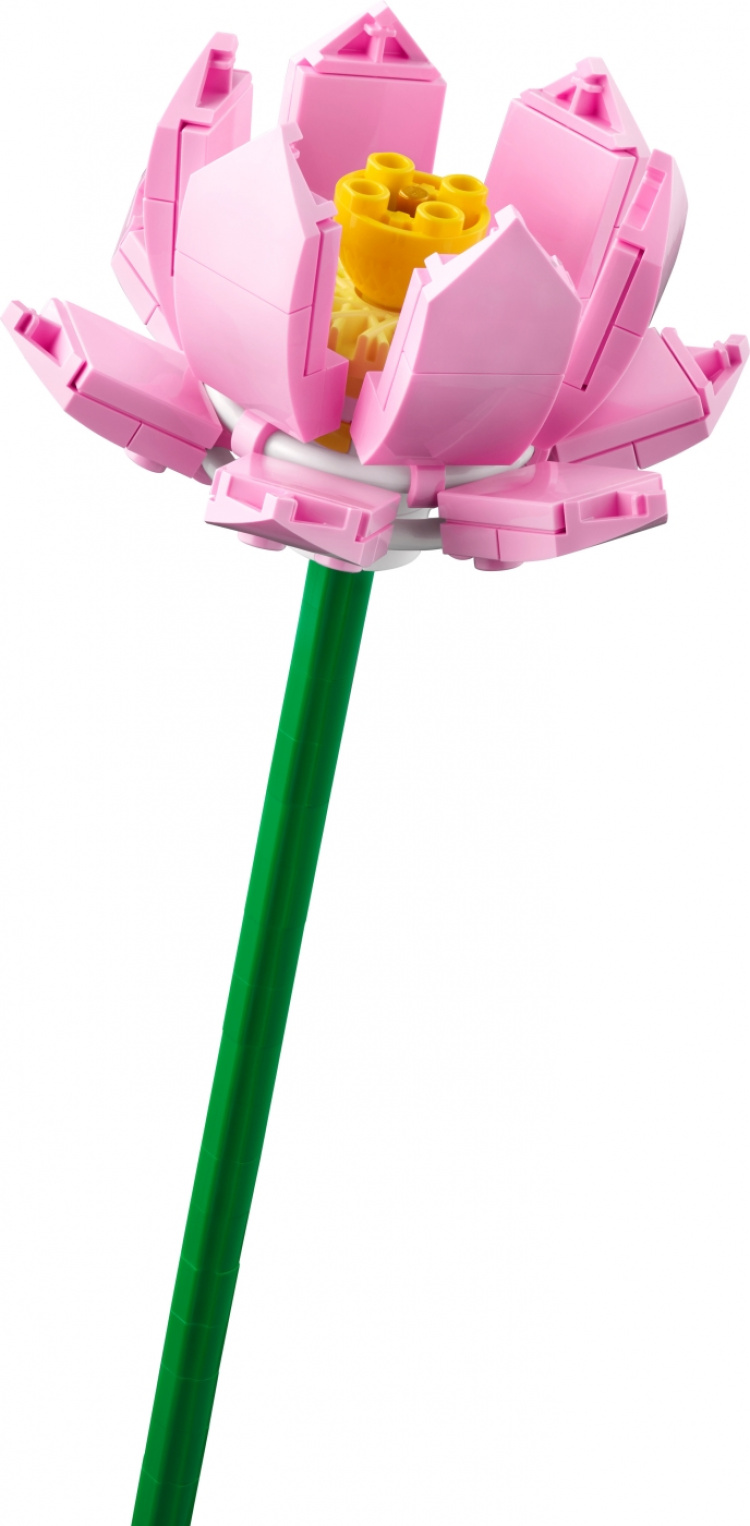 LEGO Botanical 40647 - Lotus Flowers