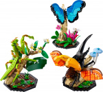 LEGO Ideas 21342 - The Insect Collection LEGO Ideas 21342 - The Insect Collection