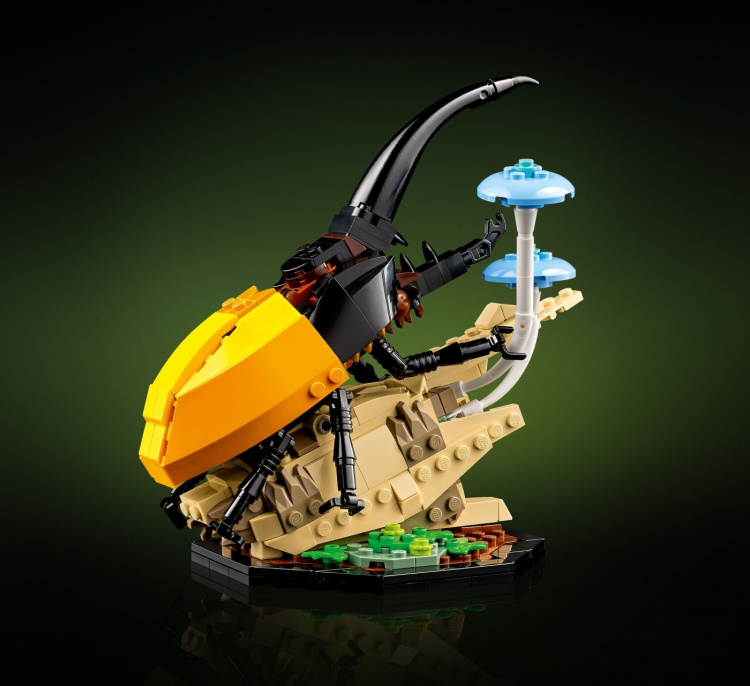 LEGO Ideas 21342 - The Insect Collection LEGO Ideas 21342 - The Insect Collection