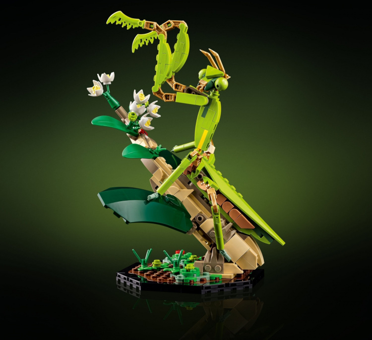 LEGO Ideas 21342 - The Insect Collection LEGO Ideas 21342 - The Insect Collection