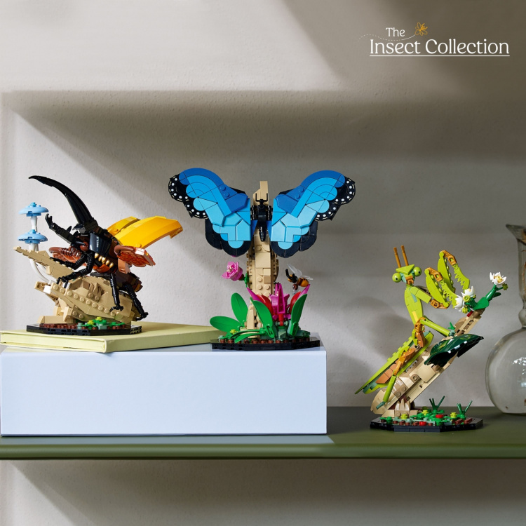 LEGO Ideas 21342 - The Insect Collection LEGO Ideas 21342 - The Insect Collection