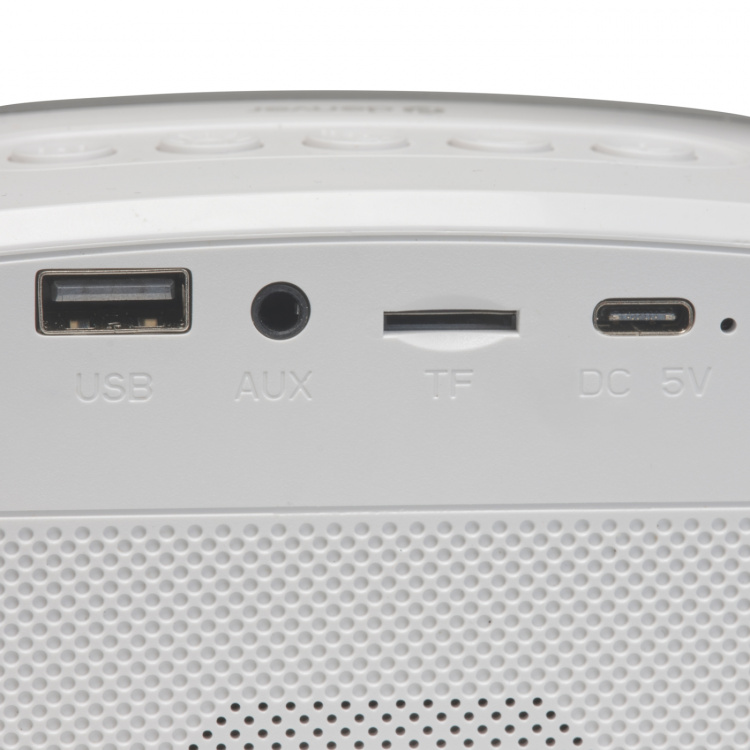 DENVER BTM-610 BT-högtalare med mikrofon och karaoke-funktion