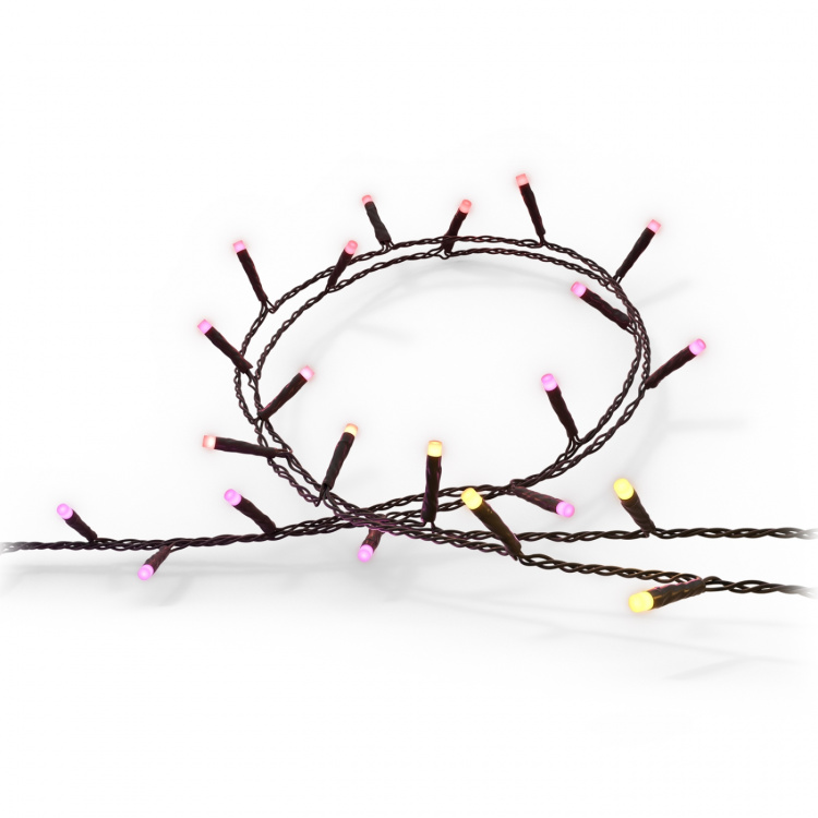 Philips Hue Festavia ljusslinga Inom-/utomhus 250 LED 20m