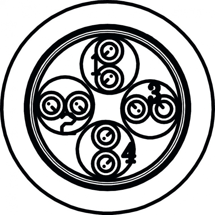 Goobay CAT 5e Netværkskabel, F/UTP, 100 m, orange Kobberbeklædt aluminiumleder (CCA), AWG 26/7 (stranded), PVC-kabelbeklædning