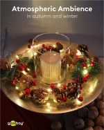 Goobay 20 LED lyskæde med sølvtråd  Goobay 20 LED lyskæde med sølvtråd