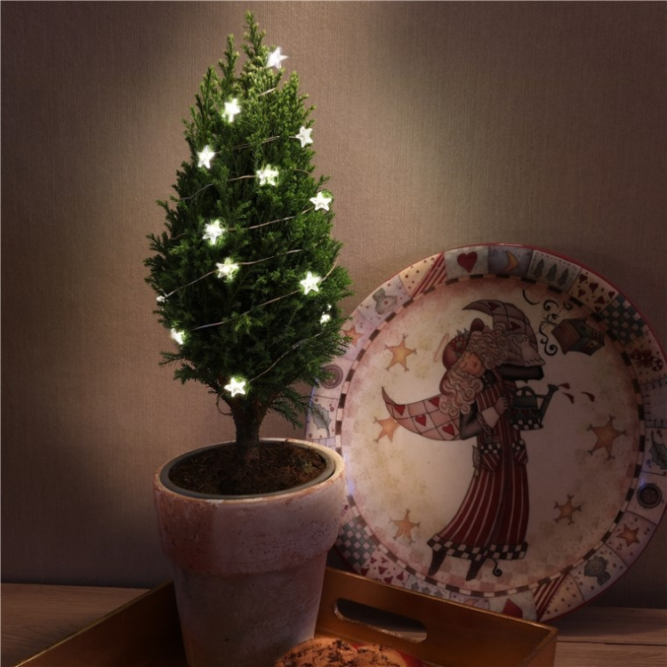 Goobay 20 LED lyskæde med sølvtråd 