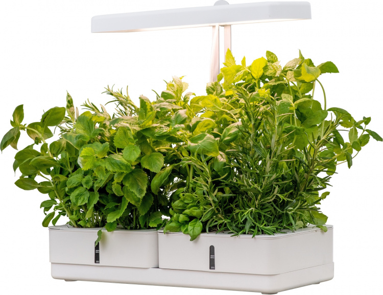 Airam Daisy -kasvivalaisin, 20W/835, 1450 lm, valkoinen