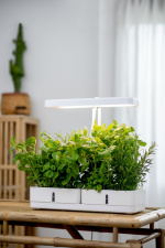 Airam Daisy -kasvivalaisin, 20W/835, 1450 lm, valkoinen