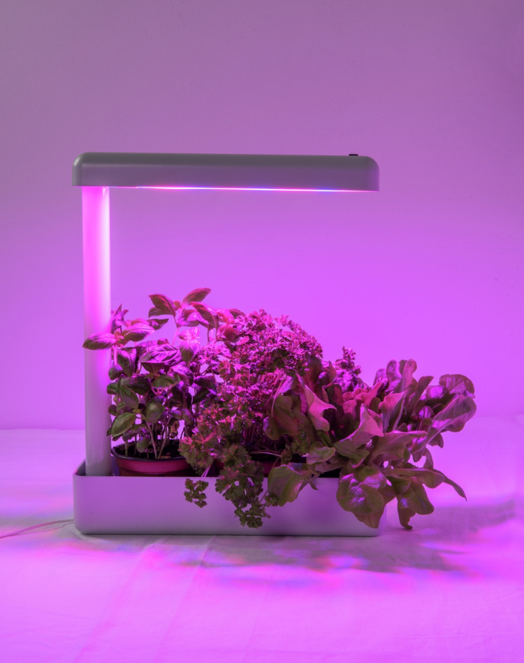 Airam Herby -kasvivalaisin, 10W/840, 650 lm, valkoinen