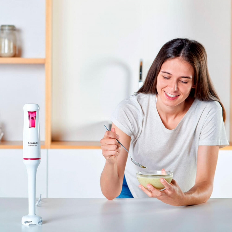 Taurus Stavblender Robot 750 Easy