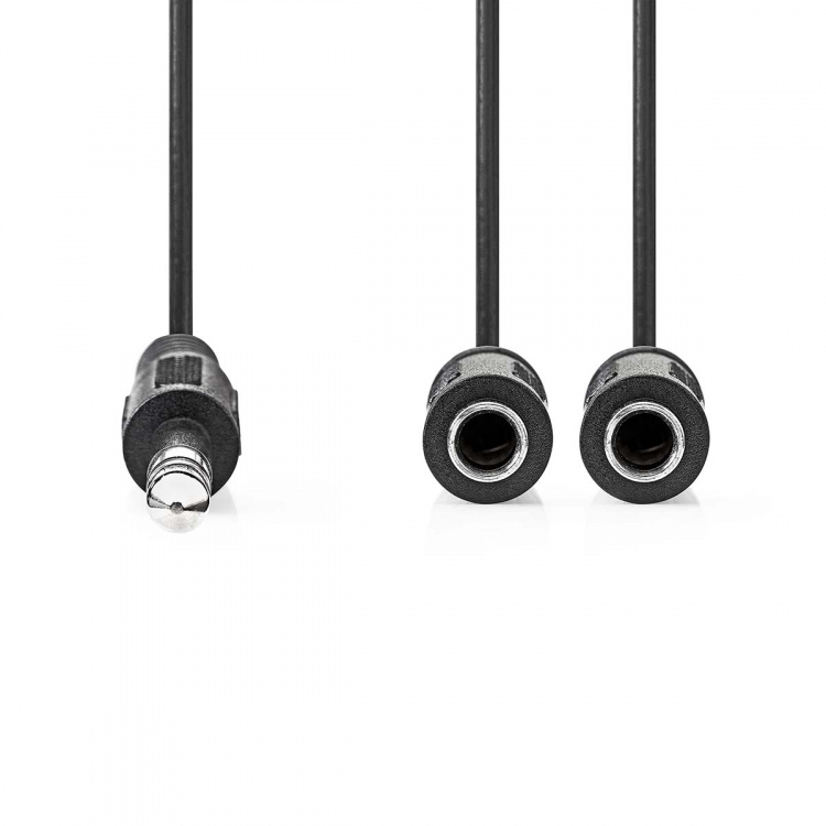 Nedis Stereo Audio kabel | 6.35 mm Hanstik | 2x 6.35 mm Hunstik | Nikkelplateret | 0.20 m | Runde | Box