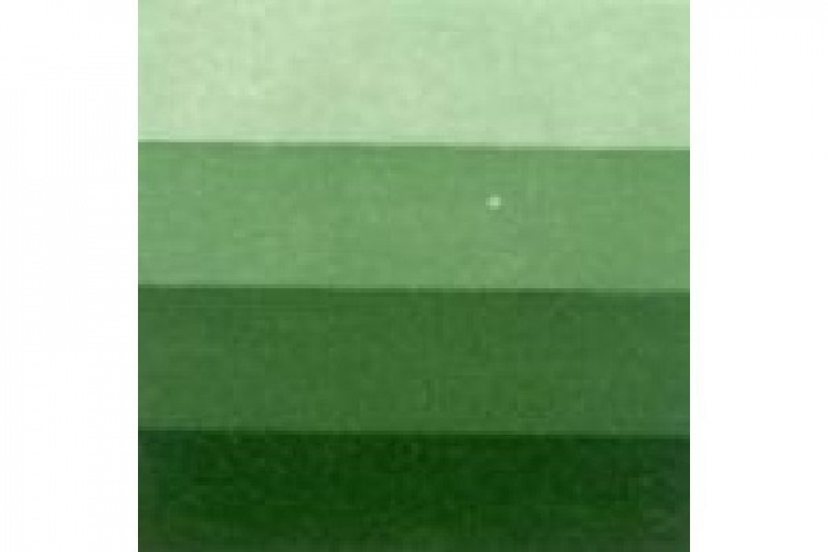 LB Charbonnel Charbo Etchink Ink 200Ml Sap Green 552