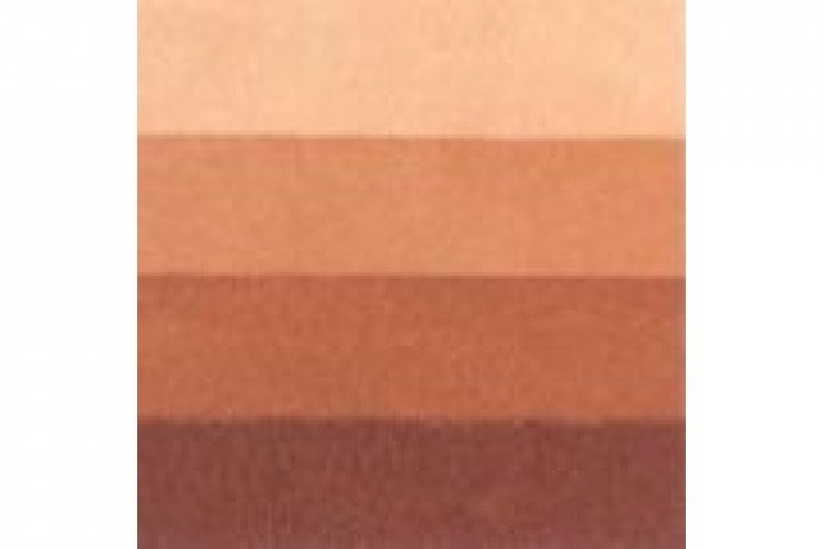 LB Charbonnel Charbo Etchink Ink 200Ml Burnt Sienna 481