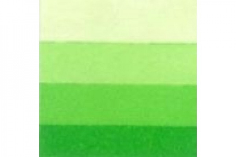 LB Charbonnel Charbo Ink 60Ml Spring Green 544