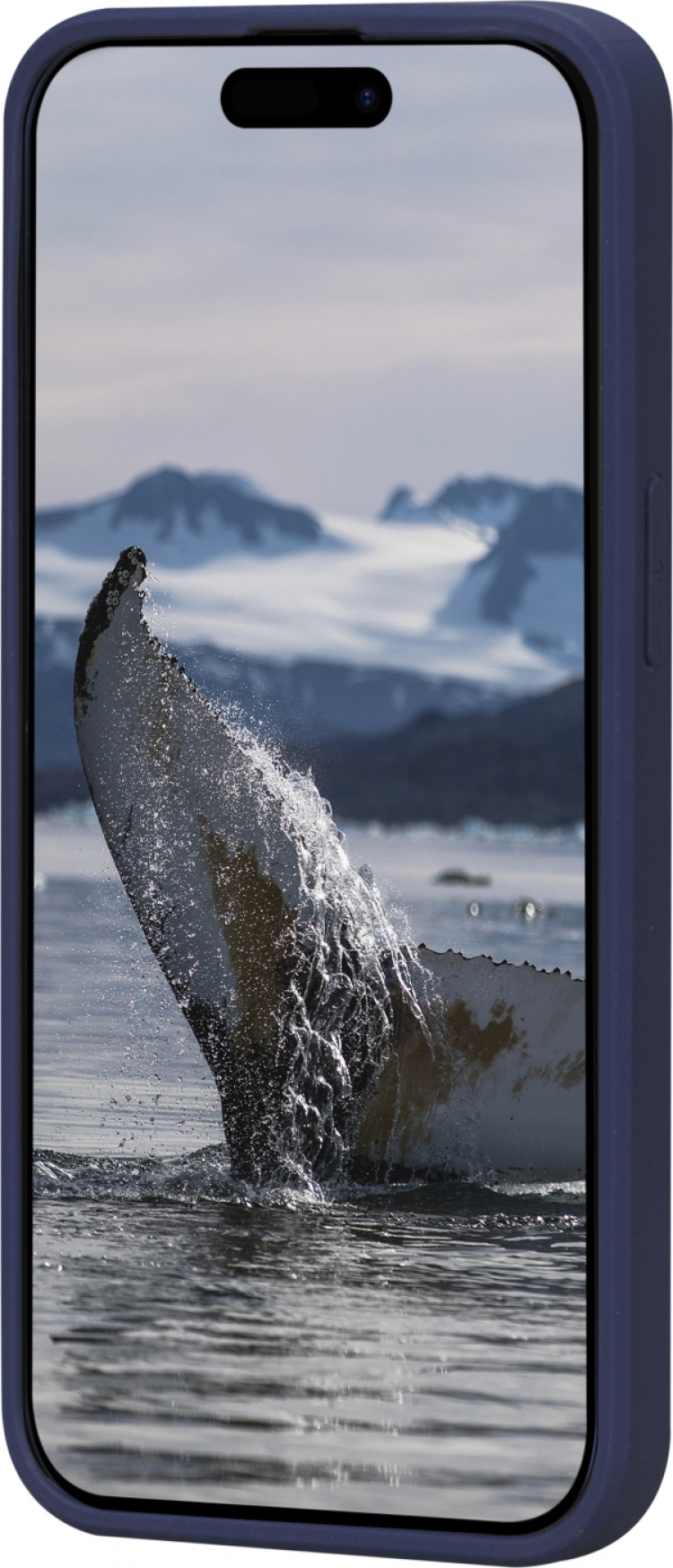  Dbramante1928 Greenland-skyddsfodral, iPhone 15, blå