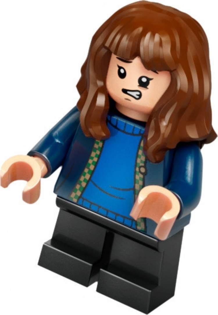 LEGO Harry Potter 76428 - Hagrid\'s Hut: An Unexpected Visit