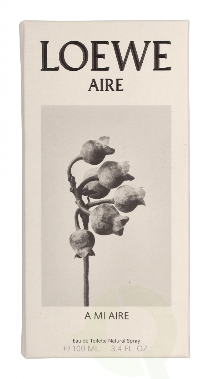 Loewe A Mi Aire Edt Spray 100 ml