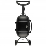 Mustang Elgrill Voyage