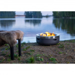 Mustang Eldstad Burbank