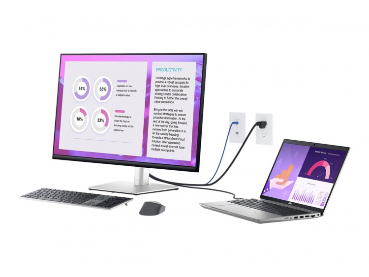 Dell P3223QE 31.5 3840 x 2160 (4K) HDMI DisplayPort USB-C 60Hz Dockingskærm