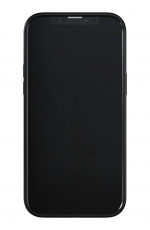 Richmond & Finch iPhone 13 Pro Max Freedom-etui, Emerald Zebra