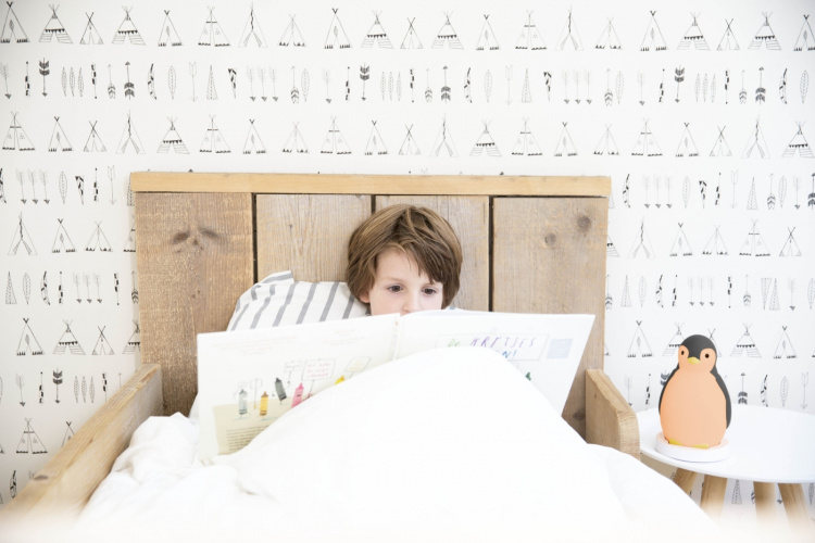 Zazu Pam søvnrytme musik natlampe, pingvin, grå