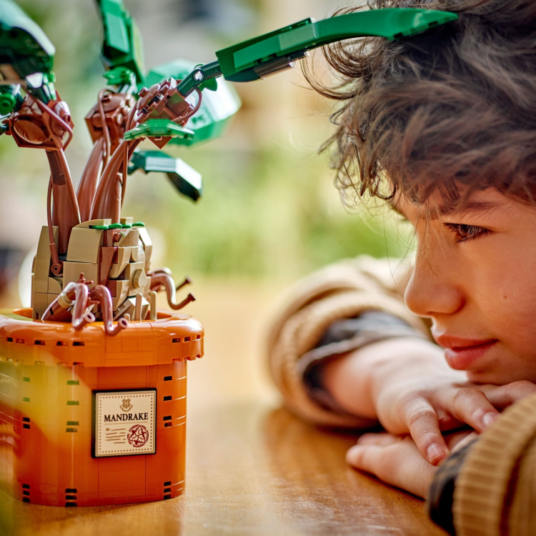 LEGO Harry Potter 76433 - Alruuna LEGO Harry Potter 76433 - Alruuna