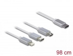 DeLOCK USB Type-C™ 3 in 1 Retractable Charging Cable