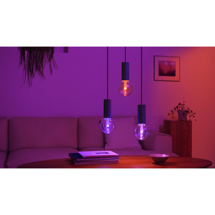 Philips Hue Lightguide Globe 95mm E27 White and Color Ambiance