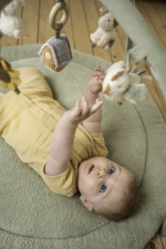 Little Dutch Little Farm legemåtte med buer, grøn