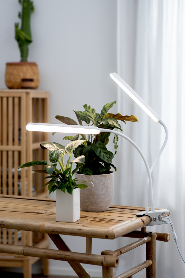 Airam Tulip-vækstlys, 16W/840, 780 lm, hvid