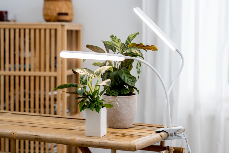 Airam Tulip-vækstlys, 16W/840, 780 lm, hvid