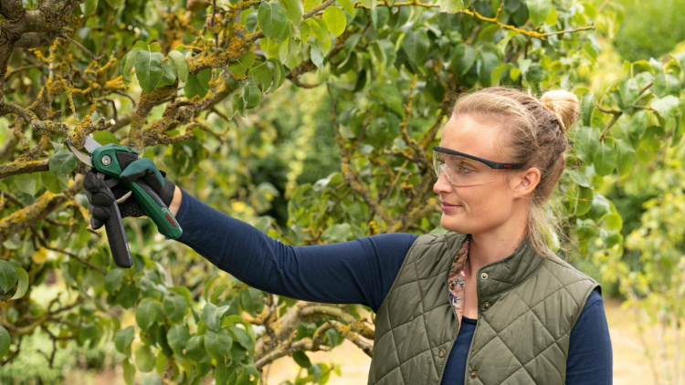 Bosch Easyprune batteridrevet taxa