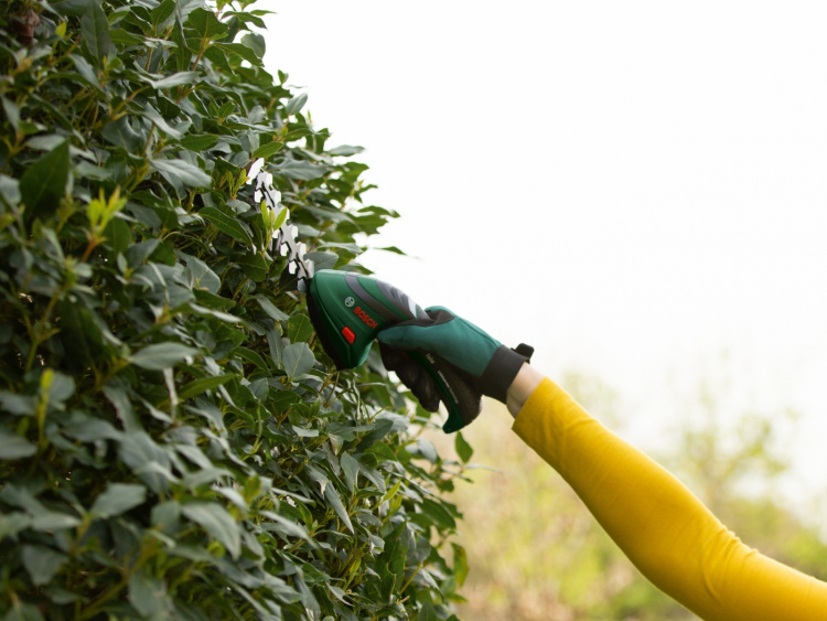 Bosch ISIO III multifunktionel trimmer med hækkeklipper