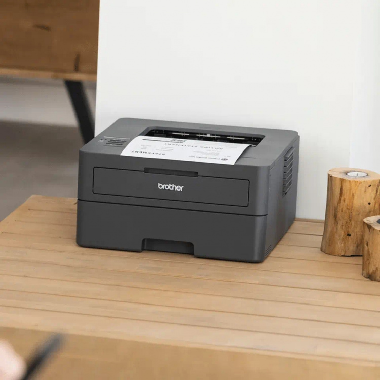 Brother HL-L2400DW sort/hvid laserprinter