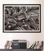 Clementoni 1000 stk CB Collection National Geographics Zebraer i høj kvalitet