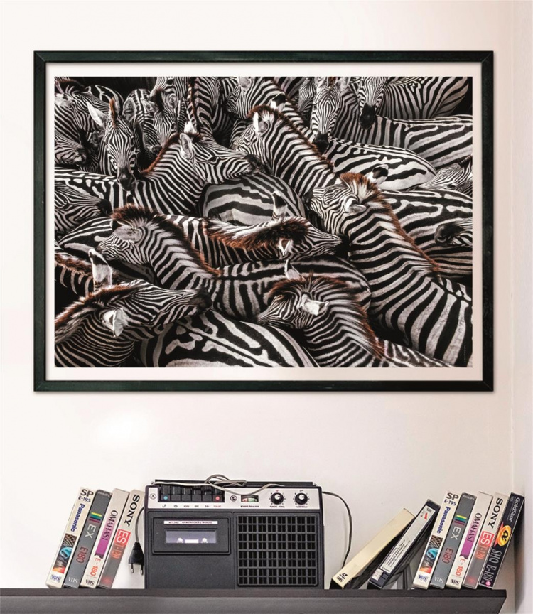 Clementoni 1000 stk CB Collection National Geographics Zebraer i høj kvalitet