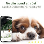 Lildog 2 GPS-Tracker för Hundar