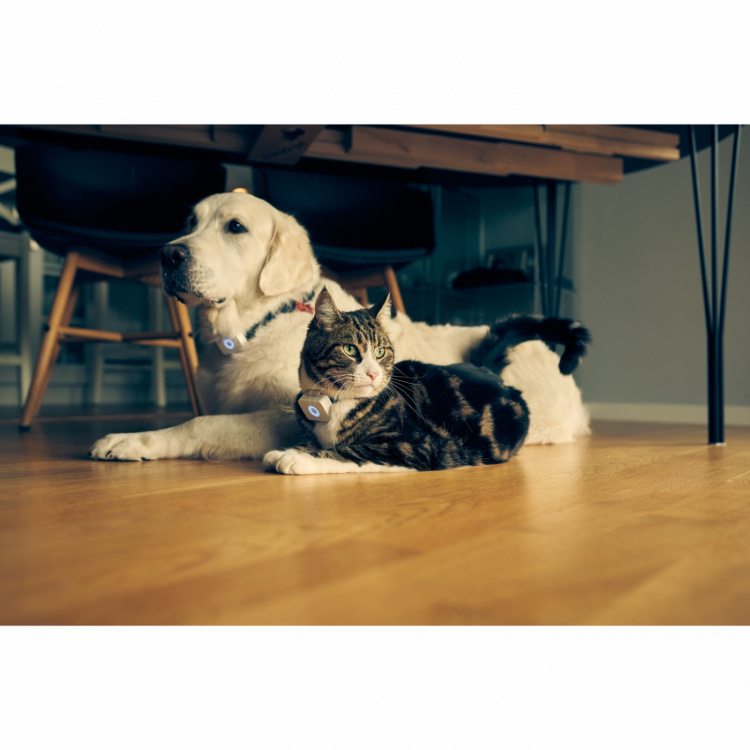 Lilcat 2 GPS-Tracker för Katter