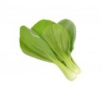 Click & Grow - Smart Garden Refill 3-pak - Pak choi (SGR58X3) Click & Grow - Smart Garden Refill 3-pak - Pak choi (SGR58X3)